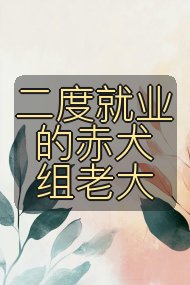 二度就业的赤犬组老大封面